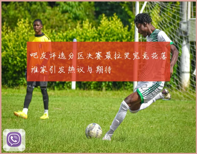 吧友评选分区决赛最拉奖究竟花落谁家引发热议与期待