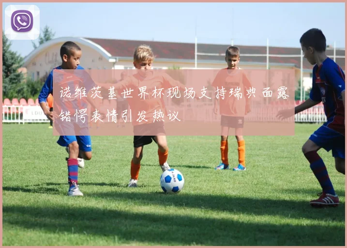 诺维茨基世界杯现场支持瑞典面露错愕表情引发热议